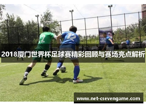 2018厦门世界杯足球赛精彩回顾与赛场亮点解析